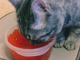 Родной дом.Чукотка?❤️
