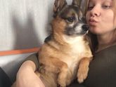 Манюни и собачки..