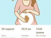 30 недель...
