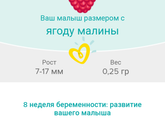 Моя малинка