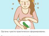 Перешли на 24 неделю