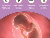 ииииии наши 30 недель