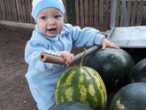 Печень