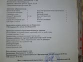 ЭХОКГ плода