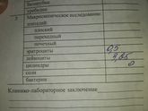 Анализы