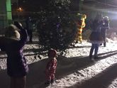 Первая осознанная елка