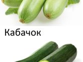 Чем отличается кабачок от цукини?