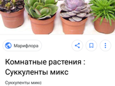 Подскажите название