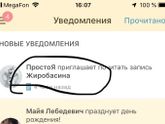 Жиробасина