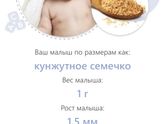 Вот такие мы маленькие!))