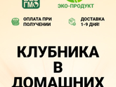 Хочу заказать набор клубники