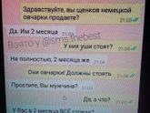 Тема про развитие)🙃