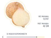 Ну как быстро время