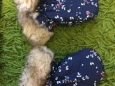 Продам новый комбез Mothercare