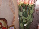 Всех с 8 марта , девочки 🌹🌹🌹