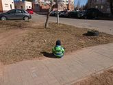 Переходный возраст в 3 года