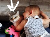 Вот такая не очень
