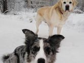 Зимааа:) Фоточки, видосики.