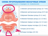 Ох уж эти зубы....