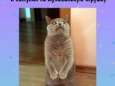 Угораю???