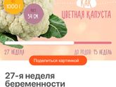 Начался 3 триместр.