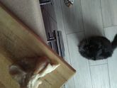 Безответная любовь ?