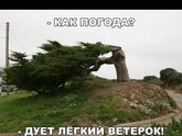 Погодка сегодня радует) если
