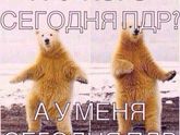 28.03.2019