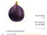 Вчера нашему второму счастью