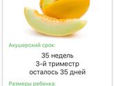 35 недель