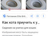 Что делать с котом?