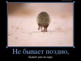 И после приходит чувство «спасибо, не надо»