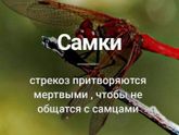 Как начать?...