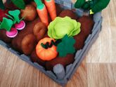 Огород с овощами и клубникой
