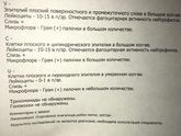 Мазок