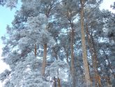 Фото на память. Сегодня просто волшебно