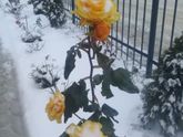 Зима в Крыму