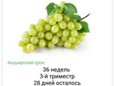 Нам 3️⃣6️⃣ недель
