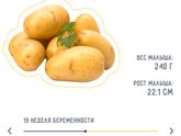 Крошечка-картошечка?