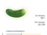 Беременность летит...