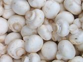 посоветуйте вкусное блюдо с шампиньонами?