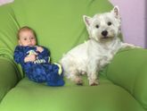 Подрастающий малыш, уменьшающийся пёс ))))
