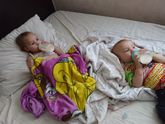 3 недели сада