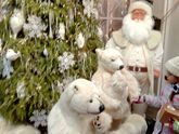 Путешествие в Рождество 2018/19. Столешников пер., Тверская площадь.