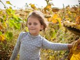 В подсолнухах 🌻🌻🌻