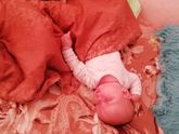 Кошка в доме 😻