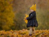 Кусочек осенней ФОТОСЕССИИ и вопрос
