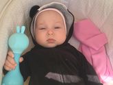 Подарили нам зайчика алило