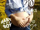 20 неделек моему малышу??
