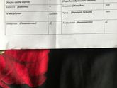Расшифровка узи